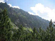 Foto z galerie