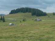 Foto z galerie