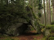 Foto z galerie