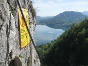 Foto z galerie