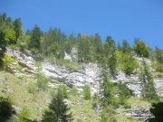 Foto z galerie