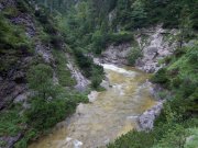 Foto z galerie