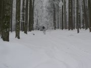 Foto z galerie