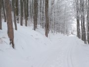 Foto z galerie
