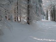 Foto z galerie