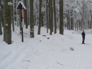 Foto z galerie