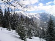 Foto z galerie