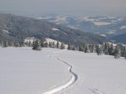 Foto z galerie