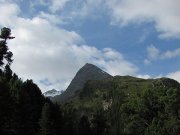 Foto z galerie