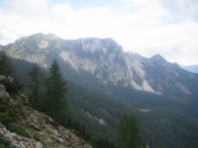 Foto z galerie