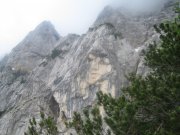 Foto z galerie