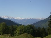 Foto z galerie