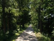 Foto z galerie