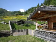 Foto z galerie