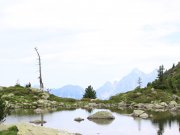 Foto z galerie