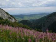 Foto z galerie