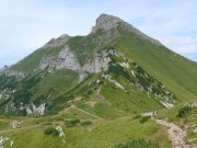 Foto z galerie