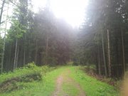 Foto z galerie