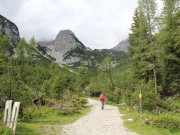 Foto z galerie