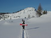 Foto z galerie
