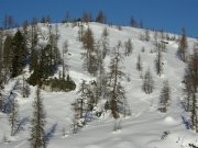 Foto z galerie